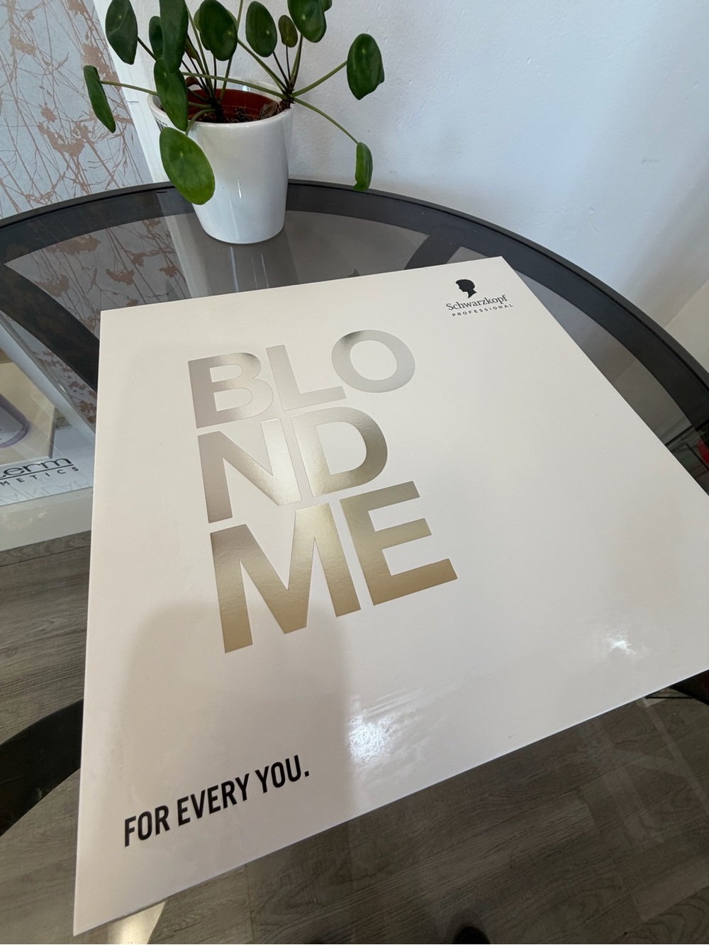 Schwarzkopf BlondMe professional swatch Book